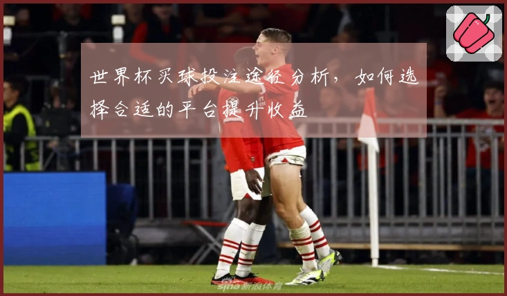 世界杯买球投注途径分析，如何选择合适的平台提升收益
