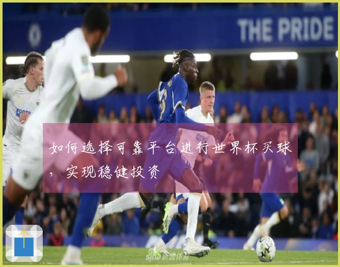 如何选择可靠平台进行世界杯买球，实现稳健投资