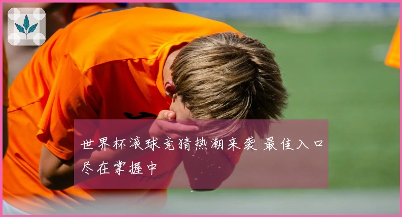 世界杯滚球竞猜热潮来袭 最佳入口尽在掌握中