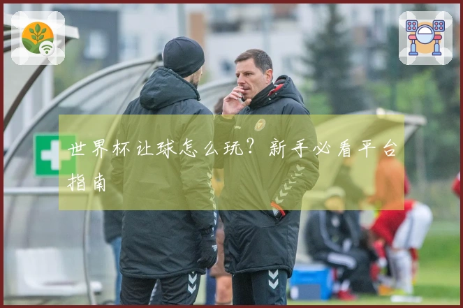 世界杯让球怎么玩？新手必看平台指南