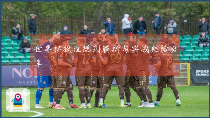 世界杯投注规则解析与实战经验分享