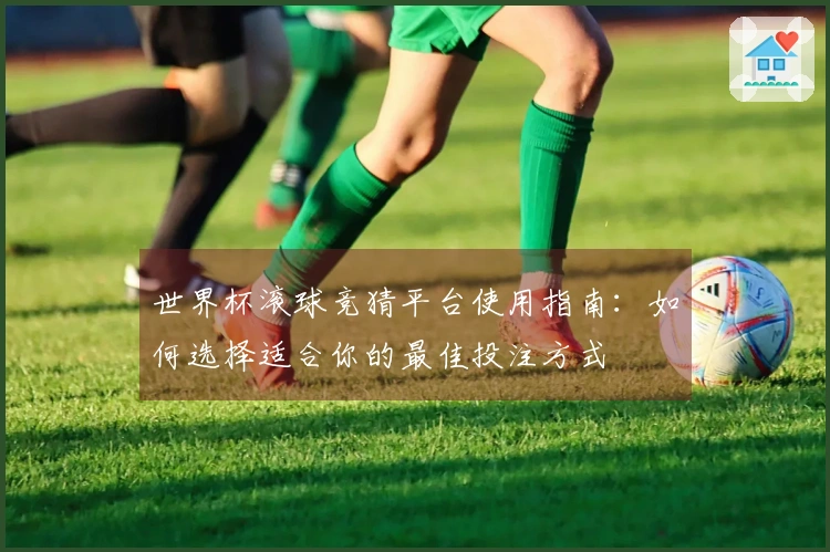 世界杯滚球竞猜平台使用指南：如何选择适合你的最佳投注方式