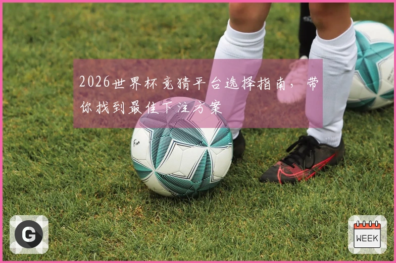 2026世界杯竞猜平台选择指南，带你找到最佳下注方案