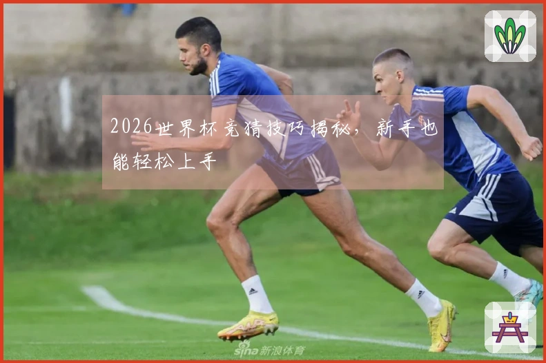 2026世界杯竞猜技巧揭秘，新手也能轻松上手