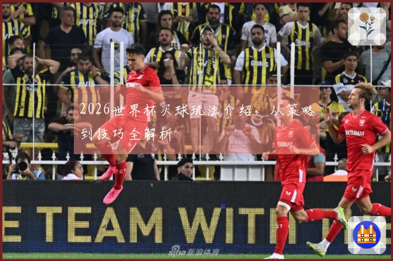 2026世界杯买球玩法介绍，从策略到技巧全解析