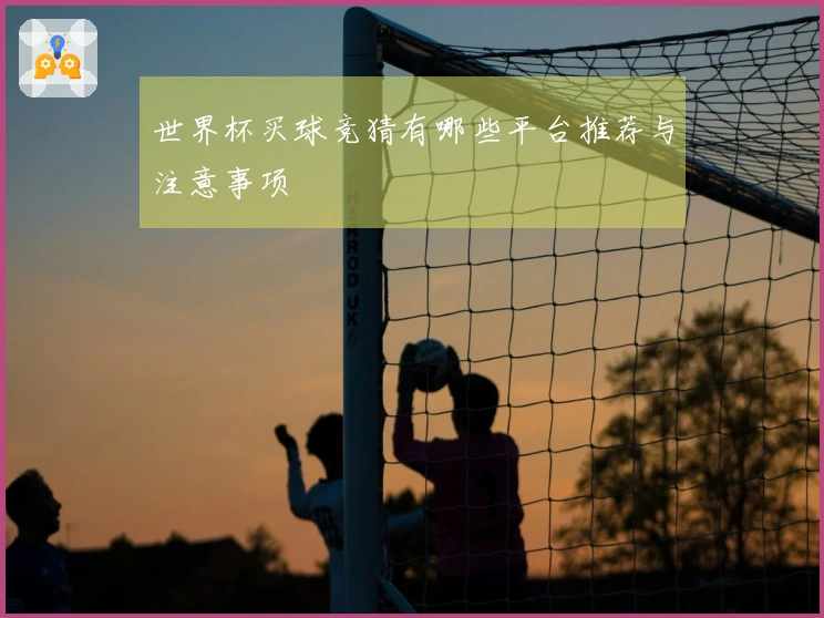世界杯买球竞猜有哪些平台推荐与注意事项