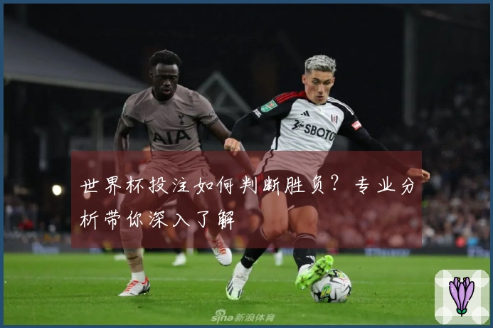 世界杯投注如何判断胜负？专业分析带你深入了解