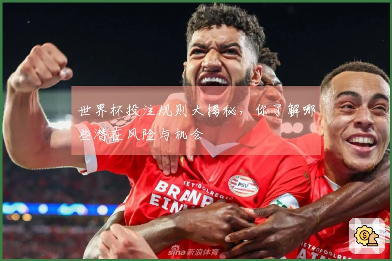 世界杯投注规则大揭秘，你了解哪些潜在风险与机会