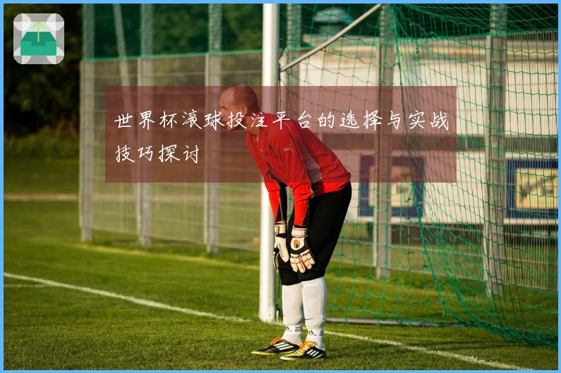 世界杯滚球投注平台的选择与实战技巧探讨