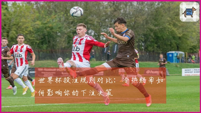 世界杯投注规则对比：冷热赔率如何影响你的下注决策